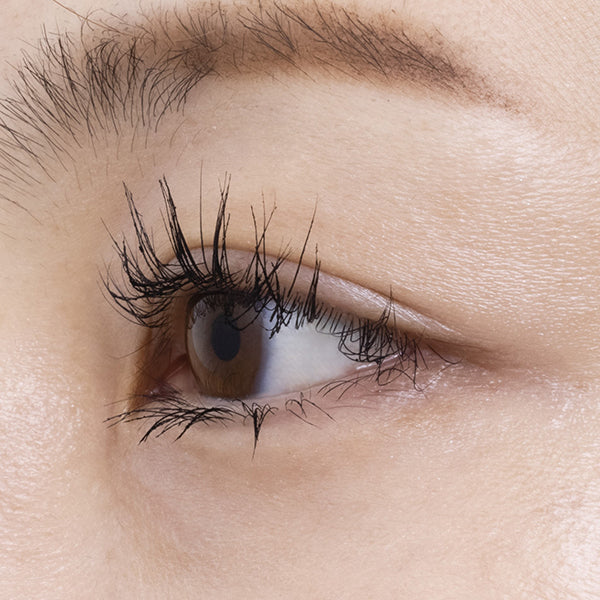 Mizuhashihojyudo Pharmaceutical Emaked Mascara (01 Natural Black), 6g
