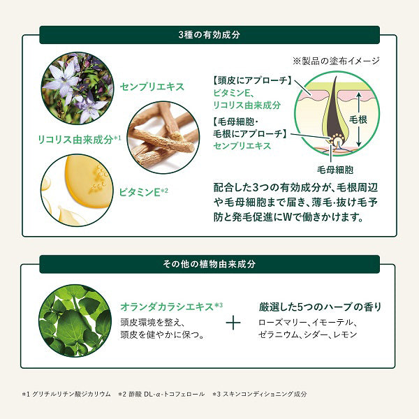 LOCCITANE Five Herbs Advanced Scalp Care, 50mL + 50mL + 50mL