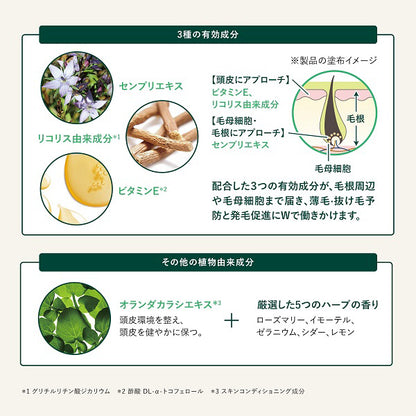 LOCCITANE Five Herbs Advanced Scalp Care, 50mL + 50mL + 50mL