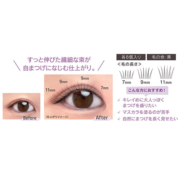 KOJI Eyelash Crush Natural Volume Type, NO.03, 3 types, 8 pieces each
