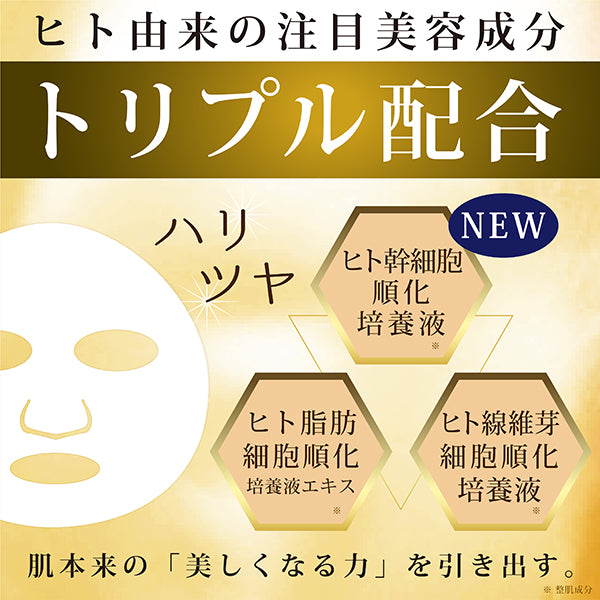 educe beaute Premium Care Face Mask, 7 sheets (105ml)