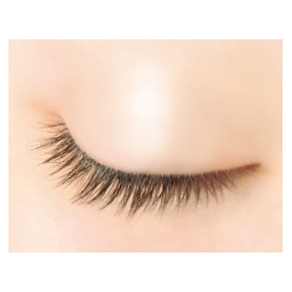 pdc Pimel Perfect Eye Base