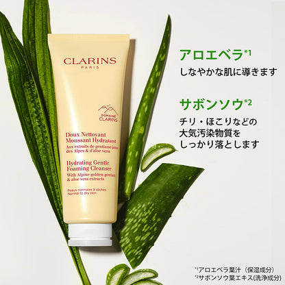 CLARINS Gentle Foaming Cleanser N Dry,Normal, 125ml
