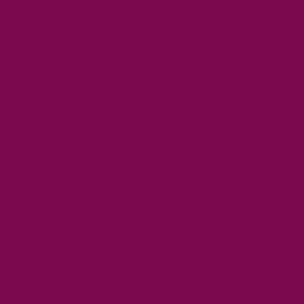 SHEGLAM Perfect Shine Lip Plumper (Berry Season), 2g