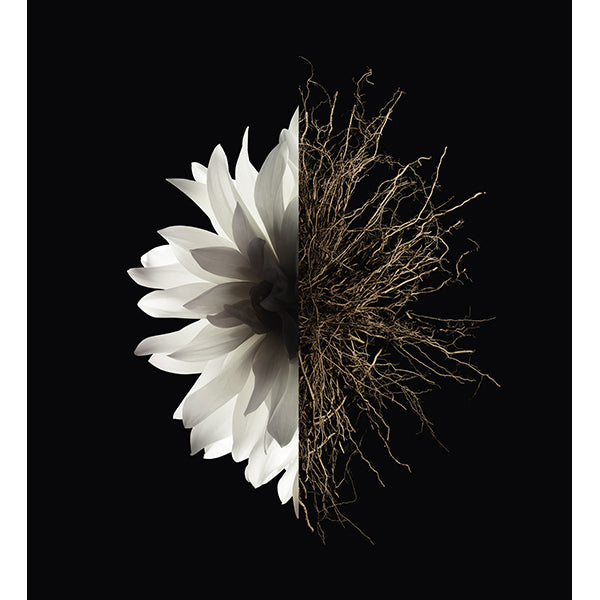 GIVENCHY L'Interdit Bath & Body Coffret