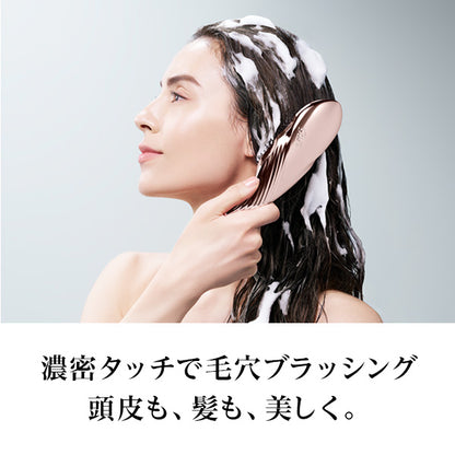 ReFa Ion Care Brush Premium (Black)
