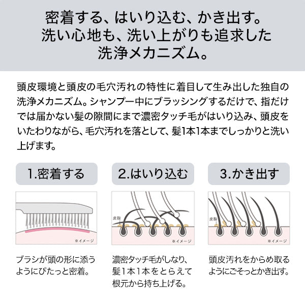 ReFa Ion Care Brush Premium, Black, [Main Unit]