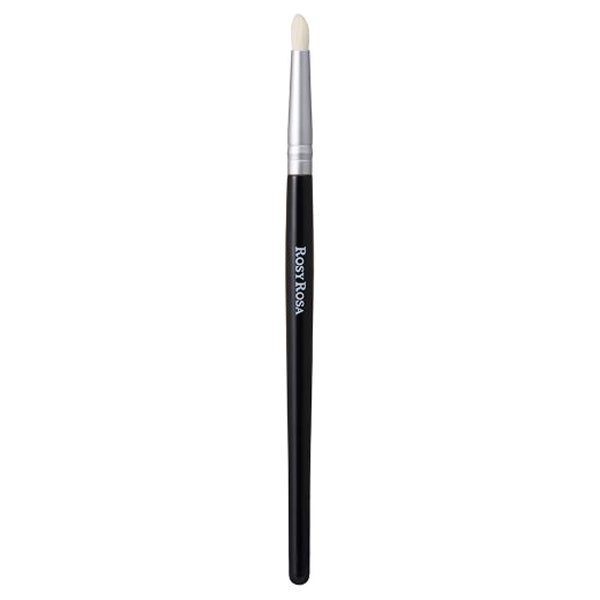 Rosy Rosa Shadow Brush Set