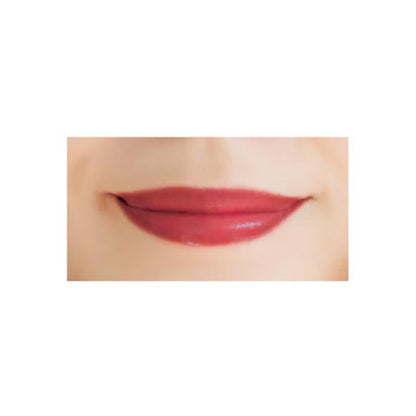 Reiko Kazki Liquid Rouge N (463 Classic Red)
