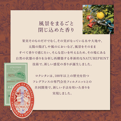 L'Occitane Hand Cream Gift for All, 10ml×10