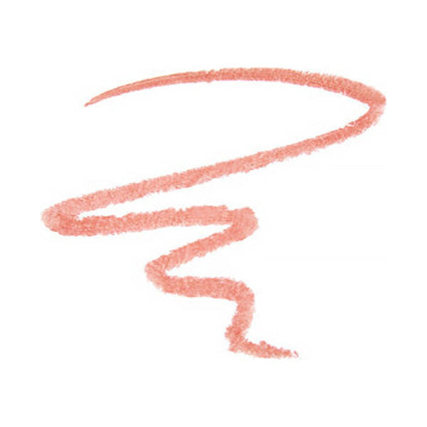 the SAEM Cover Perfection Lip Pencil, 02 Rosy, 2g