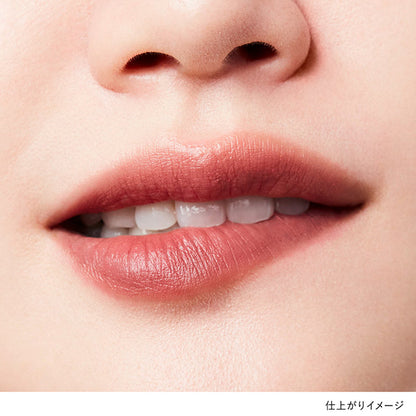 KANEBO Rouge Star Breeze (B101 Clove Warm)