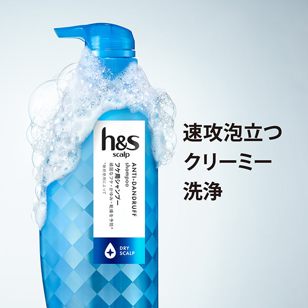 h&s Dry Scalp Shampoo Refill, 300ml