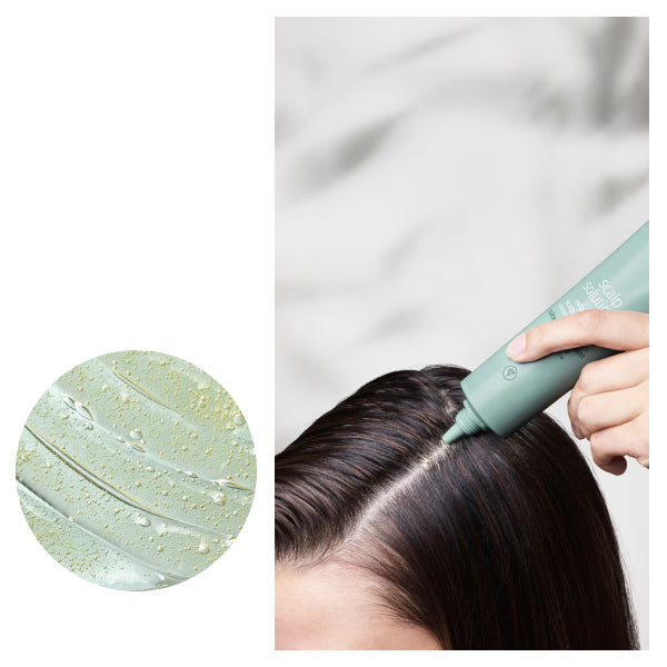AVEDA Paddle Brush & Scalp Care Set, 1 item, 150ml, 10ml×2