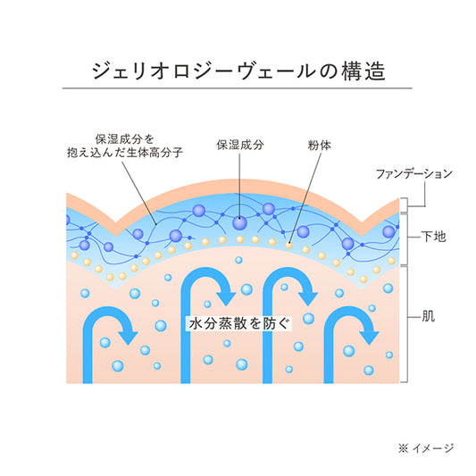 est Jellology Primer M, 25g (SPF17 )
