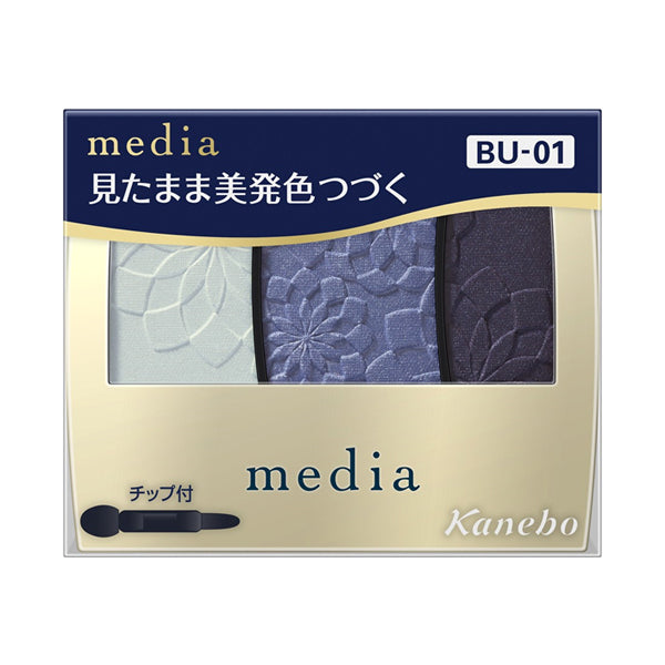 Gradient Color Eyeshadow N, BU-01, 3.1g, Fragrance-free