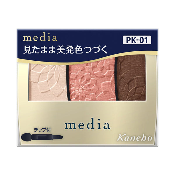 Gradient Color Eyeshadow N, PK-01, 3.1g, Fragrance-free