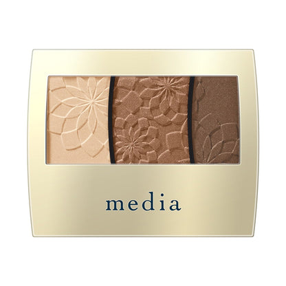 media Gradient Color Eyeshadow N (BR-01)