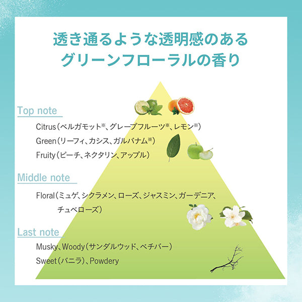 STEPHEN KNOLL Dry shampoo airy type, 40g, green floral