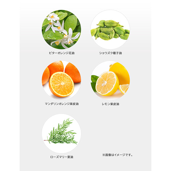 Japan Life Pharmaceutical JLP Balance Control Cleansing, 180g