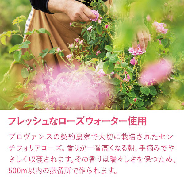 Rose Hand Cream, 30ml, Fresh Floral