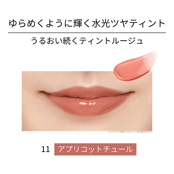 ETTUSAIS Lip Edition (Tint Rouge), 11 Apricot Tulle, 2g, Fragrance-free