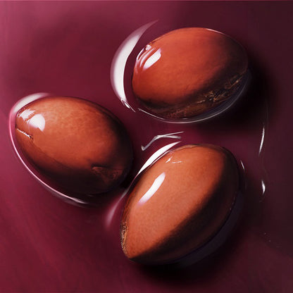 Argan Bioactive Night Balm, 50ml, Smooth and moisturizing