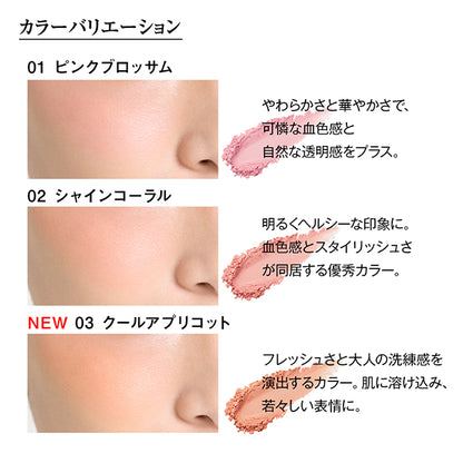 Koh Gen Do Mineral Loose Cheek, 03 Cool Apricot, 5g