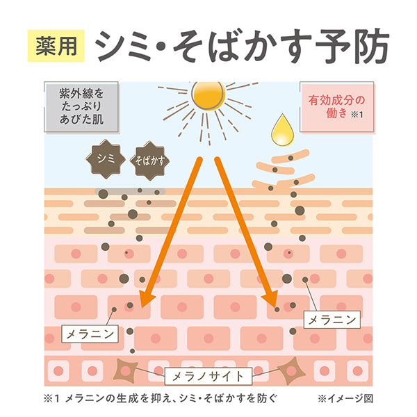 CEZANNE Medicinal clear serum, 30ml