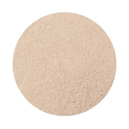 ONLY MINERALS Medicated Concealer Acne Protector, Light, 0.7g