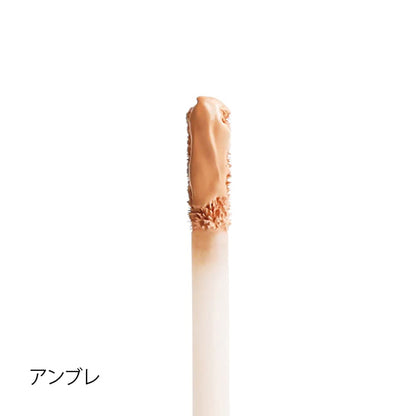 T.LeClerc Anti-Aging Concealer 06 (Ambre)