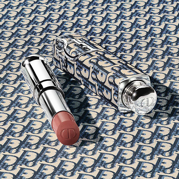 Dior Dior Addict Couture Lipstick Case, Dior Oblique