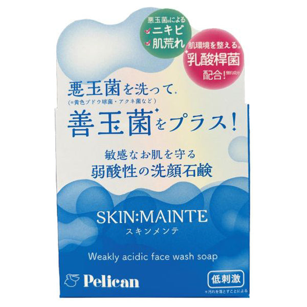 Skin Maintenance Facial Soap, 80g, Cherry Blossom Scent