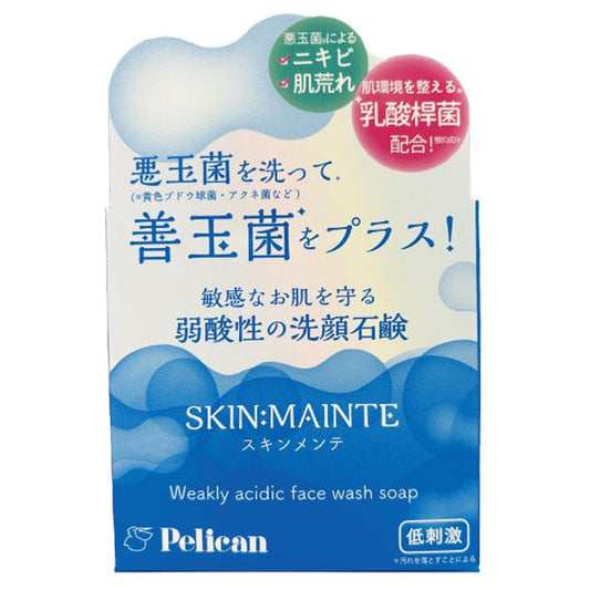 Skin Maintenance Facial Soap, 80g, Cherry Blossom Scent