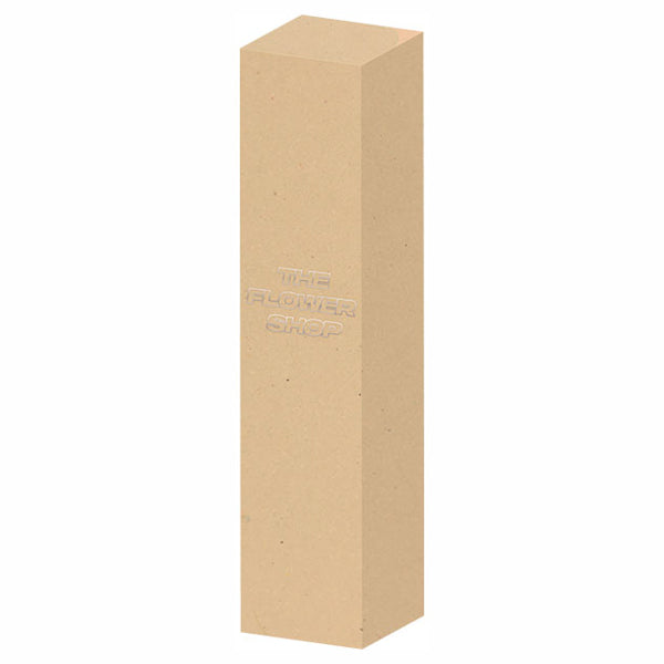 MSH The Flower Shop Concealer (Beige)