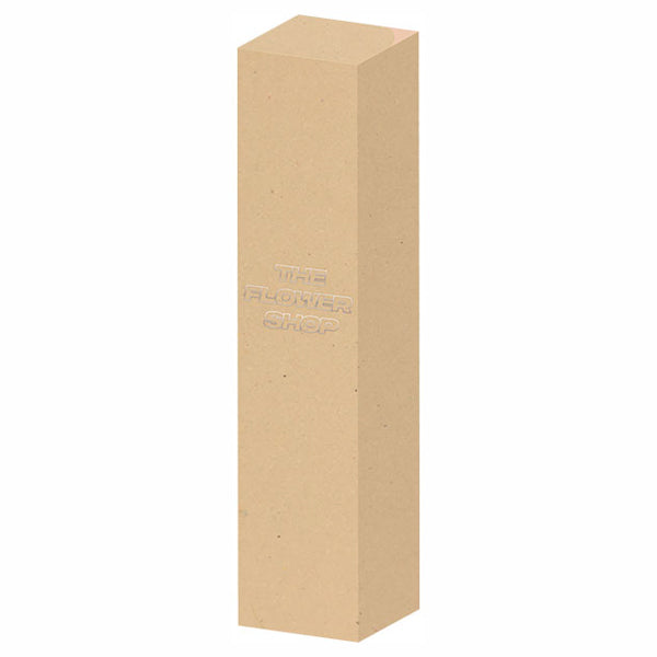 MSH The Flower Shop Concealer (Light Beige)