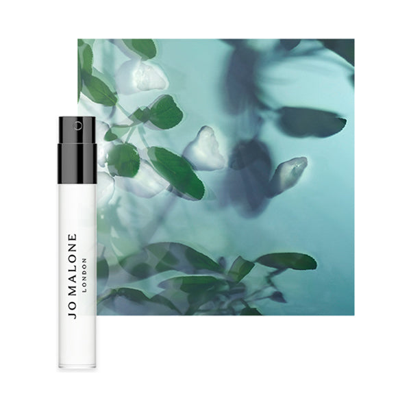 Bath & Body Gift Set, 250ml, 15ml, 1.5ml