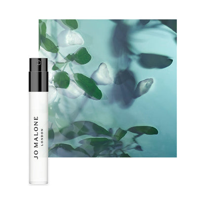 Bath & Body Gift Set, 250ml, 15ml, 1.5ml