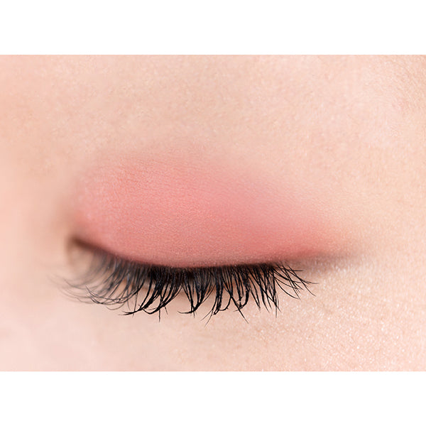 Eye Makeup & Lip Novelty Set B (Recommended for warm skin tones)