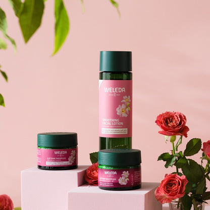 WELEDA Wild Rose Smoothing Day Cream, 40ml