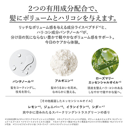 L'Occitane Volume & Strength Trial Set, 75ml+75ml