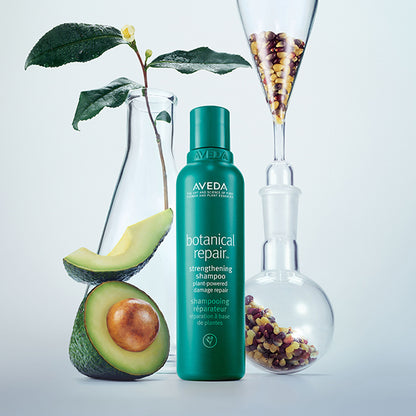 AVEDA Botanical Repair Shampoo, 1000ml