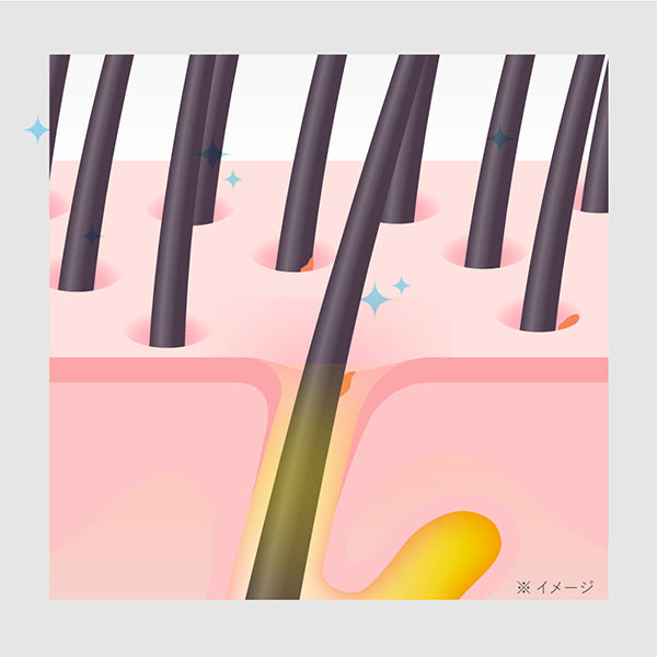 Clarifying Scalp Gel, 250g, Bright Bouquet