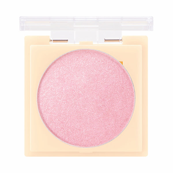 #CLOSET Tint Illuminator (05)