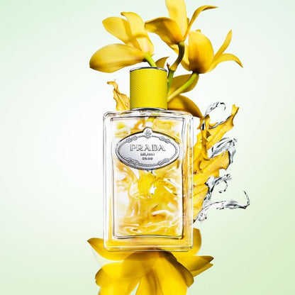 Prada Beauty Infusion de Prada Eau de Parfum Discovery Set