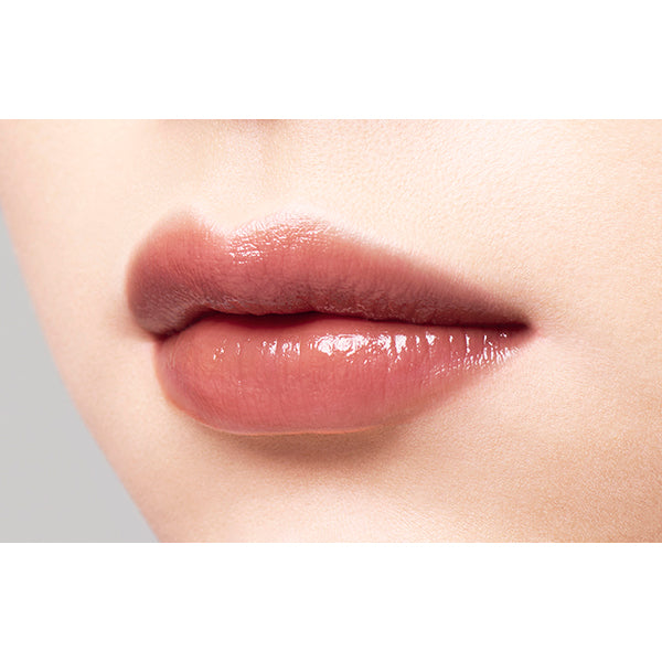 Lip Tint N, 10 Bordeaux Brown, 20g