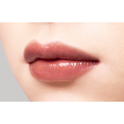 Lip Tint N, 10 Bordeaux Brown, 20g