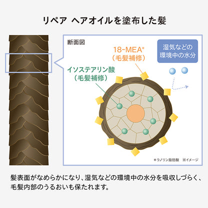 Repair Hair Oil, 50ml