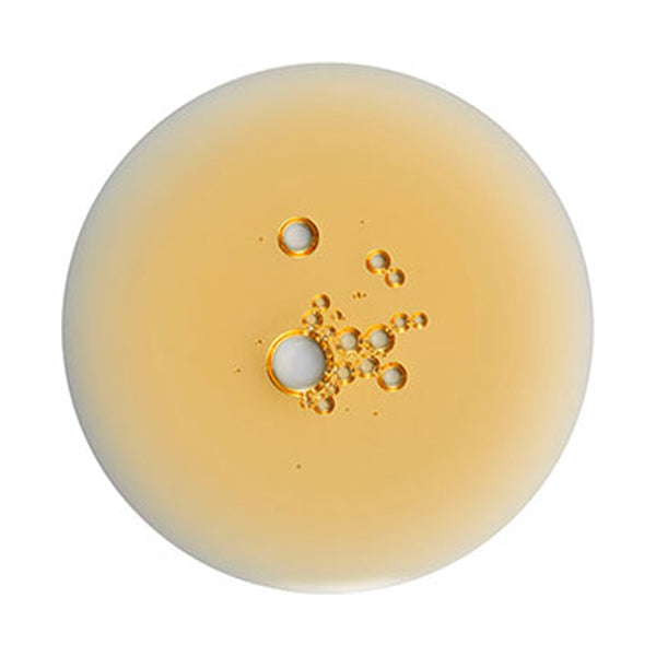 C&G Shampoo, 473ml, Citrus & Geranium