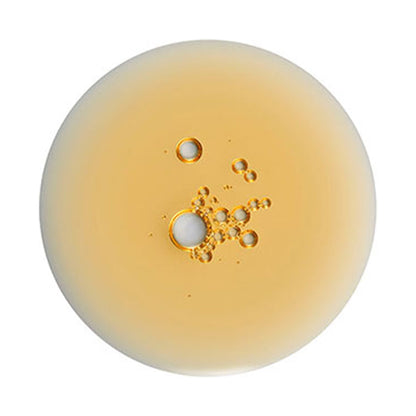 C&G Shampoo, 473ml, Citrus & Geranium